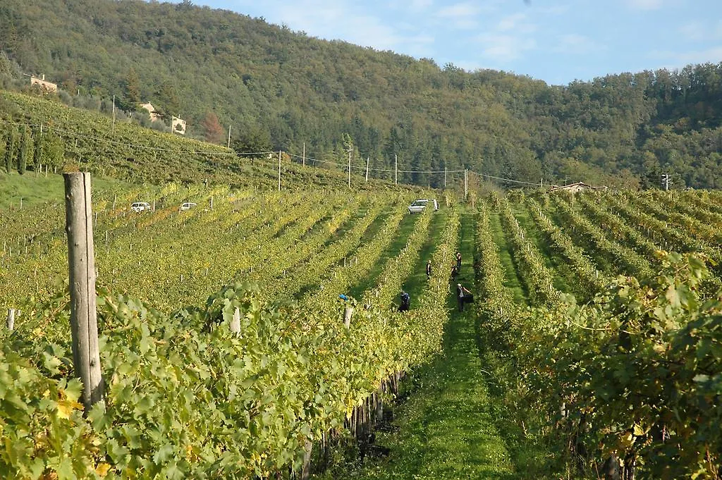 Fattoria Il Lago Dicomano Farm stay