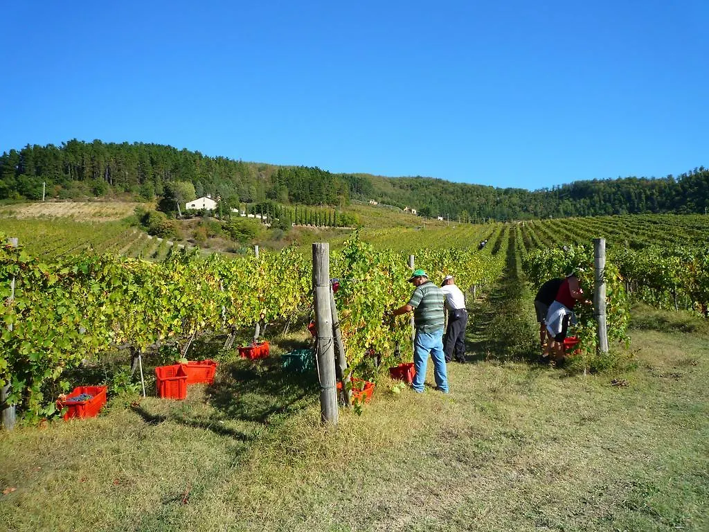 Farm stay Fattoria Il Lago Dicomano Italy